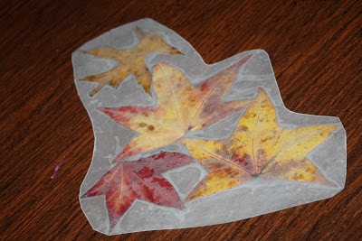Fall Craft Ideas for Kids : The Chirping Moms