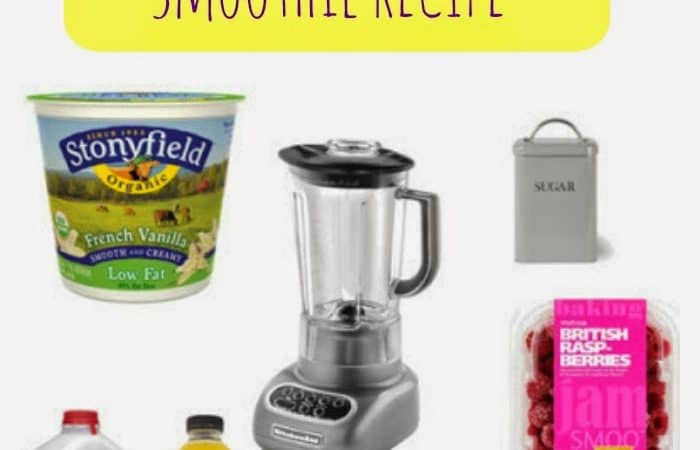 Smoothies On the Go for Little Ones!
