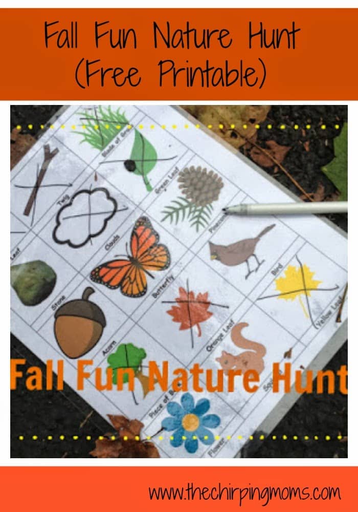 Fall Fun Nature Hunt (Free Printable) II The Chirping Moms