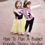 Planning a Trip to Disney World On A Budget