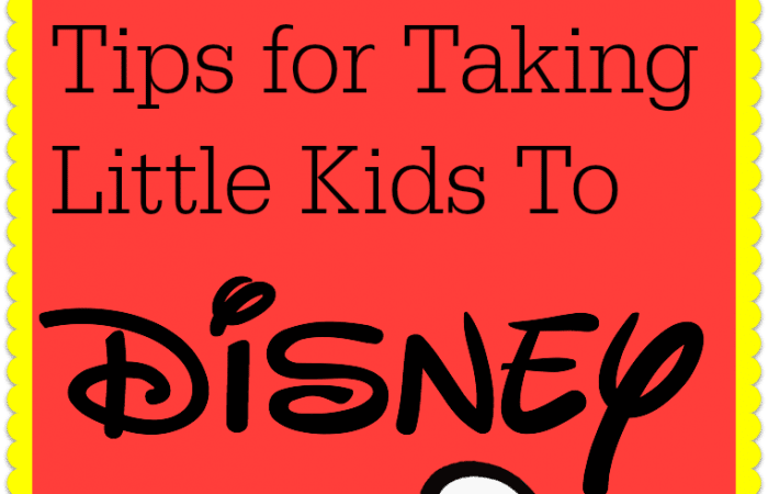 Tips For Taking Little Ones To Disney