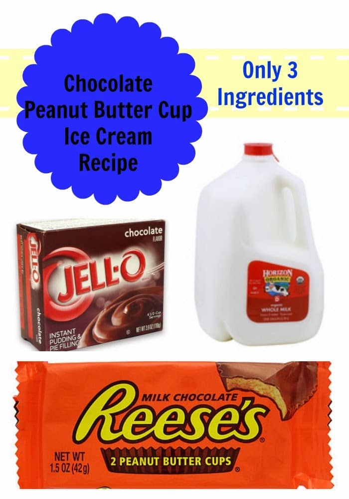 Chocolate Peanut Butter Cup Ice Cream Recipe