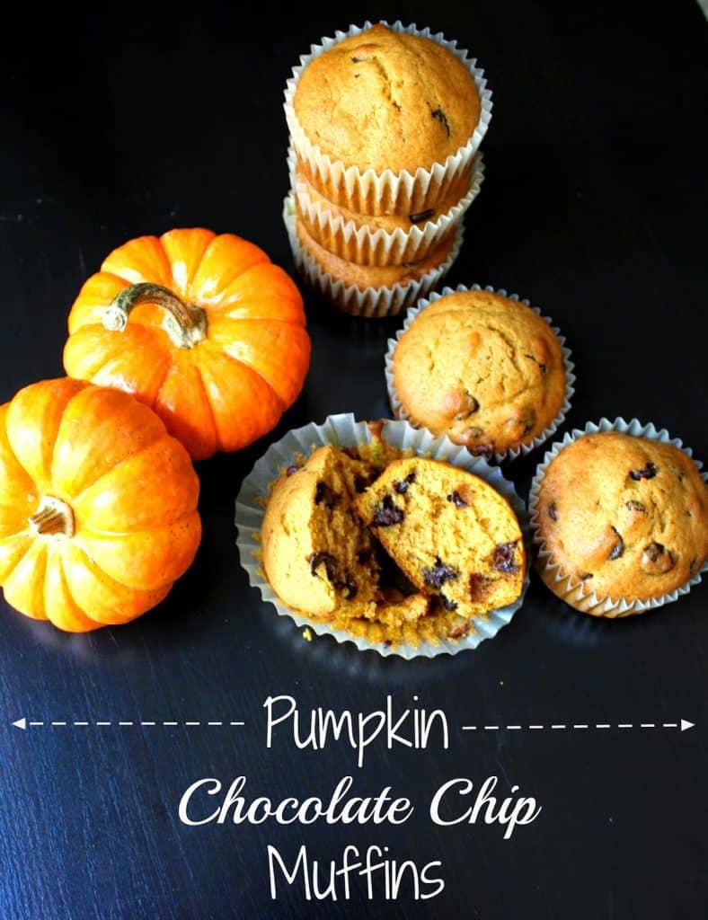 Pumpkin Chocolate Chip Muffins! 
