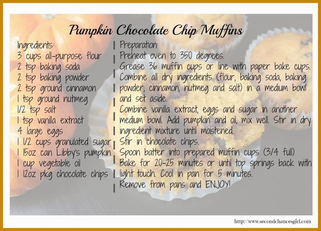 Pumpkin Chocolate Chip Muffins Recipe