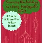 Tips for A Stress-Free Holiday Season