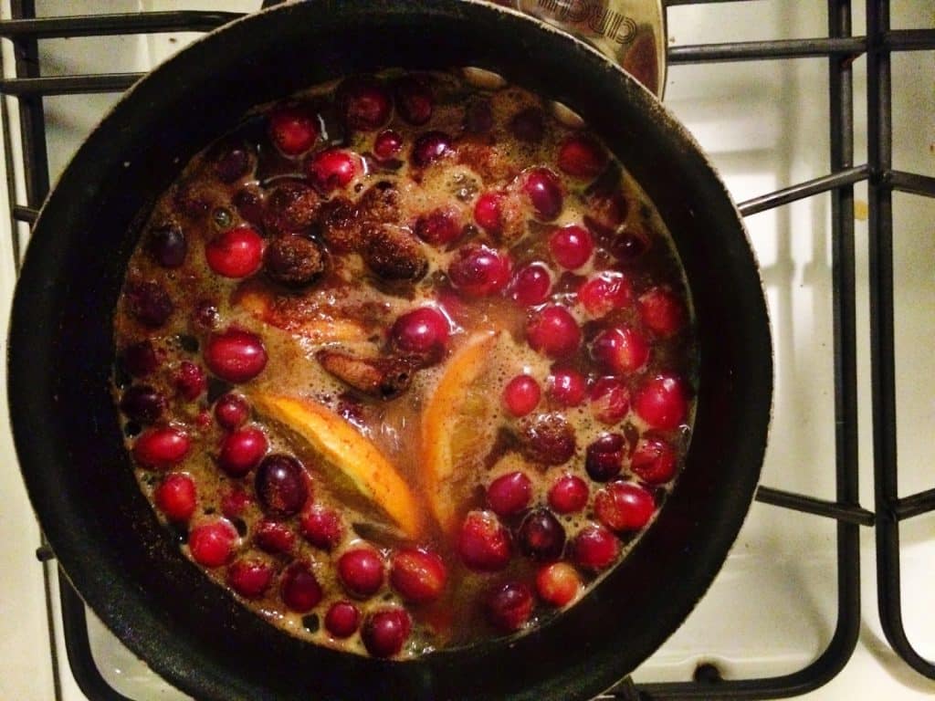 Christmas Stovetop Potpourri : The Chirping Moms