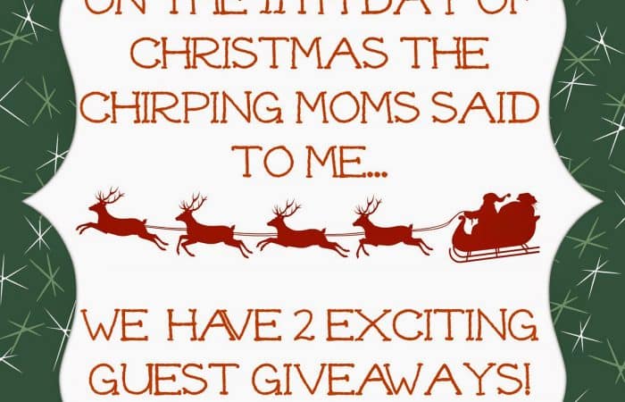 The 12 Days of Toys: Day 11, Two Guest Giveaways!