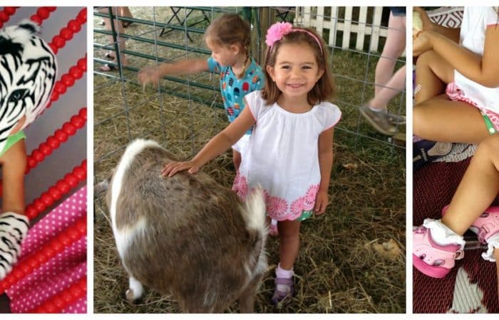 5 Activities for Kids That Love Animals