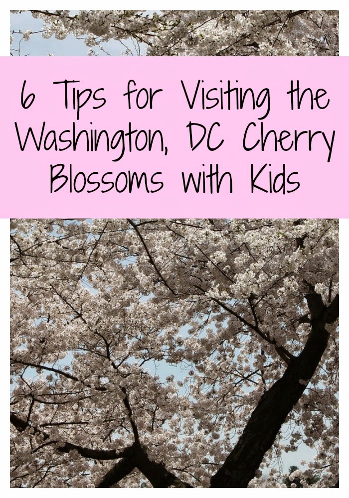 Cherry Blossoms with Kids || The Chirping Moms