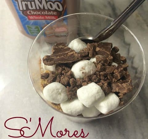S’mores Double Chocolate Pudding Recipe