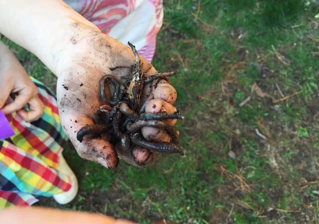 Worms!