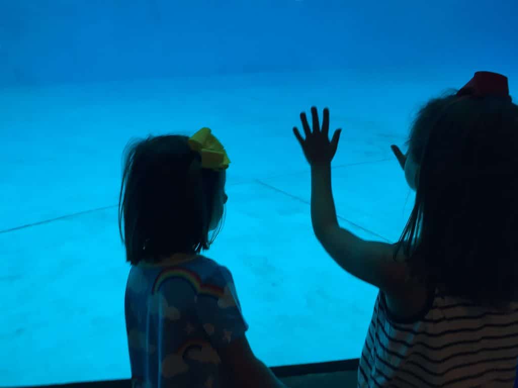 Tips for Visiting the National Aquarium
