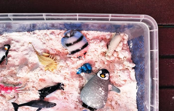 Summer Activity for Kids: Beach in A Box