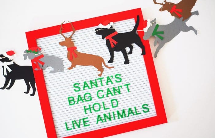 Gift Guide: Gifts for Kids that Love Animals