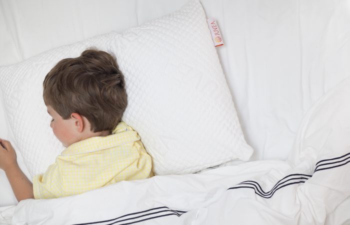 A Special Giveaway from Juvea Pillows