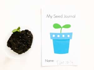 seed journal for kids