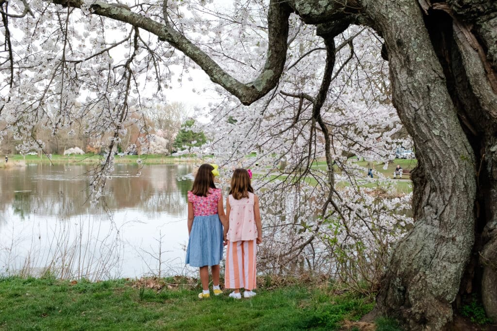 two little girls standing near a lake with spring flowers on tree