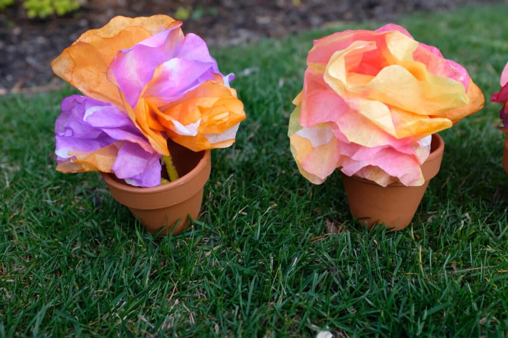 Coffee Filter Flowers for Spring